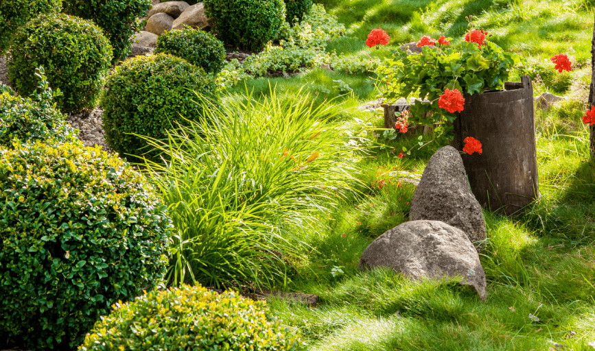 Scott's Greenery